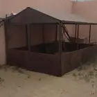 شبك دجاج للبيع