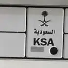لوحة مميزة اسد 421