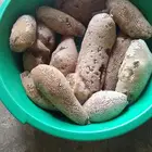 عسل بري حر( جديد اليوم)19 كيلو