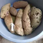 عسل بري حر. اليوم.