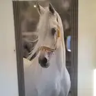 شقق للبيع حي النور موقع متميز جداا