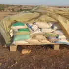 علف تمر السنه لاهل الحلال