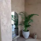 ديكورات الرياض