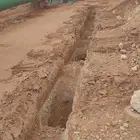 شبوك وسياجات