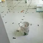 مبلط بلاط سرامي