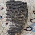 للجاد صخره دوديه للبيع للتواصل على الواتس.