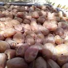 يوجد لدينا تمور فاخره للبيع اخلاص