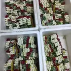 فل ورد طبيعي