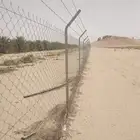 زيتون ونخل وشبك