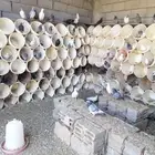 حمام عادي زاجل كريمي سلفر