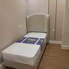 مراتب طبي