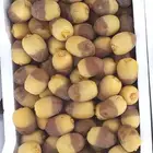 روثانا 10 ريال مناصيف