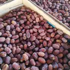 تمر خلاص وادي الدواسر جديد