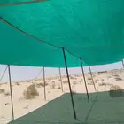 مظلات الغنم الوطني
