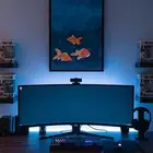 ديكور مكتبي مميز  لوحة الأسماك الذهبية بخلفية ليلية .