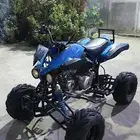 دباب فراشه موديل 2010