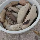 عسل بري حر جديد الكيلو ب((100 فقط))