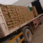 تريلا سطح للايجار