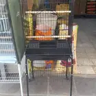 قفص ببغاء كاسكو دره كروان مكاو امازون