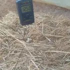 للبيع تبن بر جديد