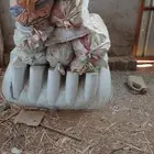 عصارة سمسم بلدي