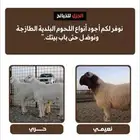 متجر جزل لبيع الذبائح