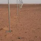 مقاول شبوك مزارع دواجن استراحات الجله الدودمي الرياض الخرج