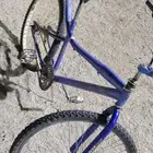 سيكل حجم كبير كوبرا