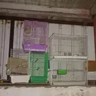 اقفاص طيور مع بياضه