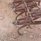 مشط جالوشي 11سن
