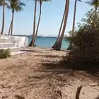 جدة بريمان
