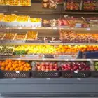 معلم خضار ابحث عن عمل