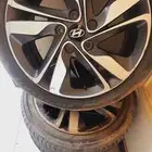 جنوط للبيع