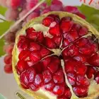 حلقات الخضار والفواكه