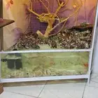 منظر طبيعي يحاكى الطبيعه