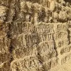 للبيع اعلاف بلوبانك ومليسا