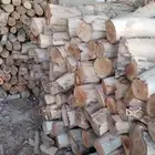 حطب كين مقطع