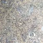 نيزك الشيركوتيت المريخي..2..Martian sherkotite meteorite