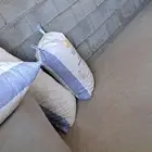 خبز حلال نظيف ومشروط