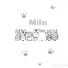 فندقة قطط الحجوزات متاحه الان