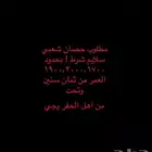 مطلوب حصان شعبي بيع با حفر بحدود2000 و تحت