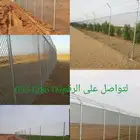 أبو علي التوريد انخيل