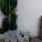 سنوت بلدي