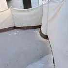 رواق