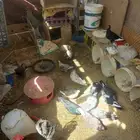 حمام باكستاني
