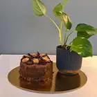 كيك فاخر   نبتة أو ورد طبيعي