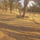 مزرعه واستراحة للبيع