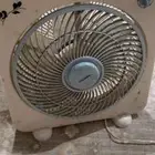 مروحه مكتب