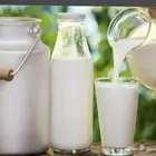 حليب بقر طازج من المزرعه لطلب قبل بيوم