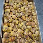 كميات جميع انواع التمور من القصيم